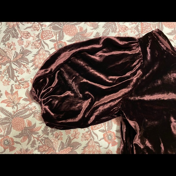 NWOT Velvet Bell Sleeve Dress - Picture 5 of 9